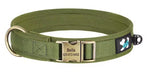 Load image into Gallery viewer, Green personalised dog collar with engraved nameplate and tag on a white background