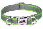 Load image into Gallery viewer, Personalised Dog Collar with Laser Engraved Buckle - The Reflective Collection