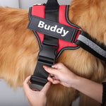 Load image into Gallery viewer, Personalised No-Pull Dog Harness