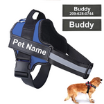 Load image into Gallery viewer, Personalised No-Pull Dog Harness