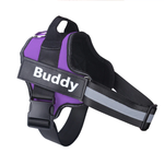 Load image into Gallery viewer, Personalised No-Pull Dog Harness