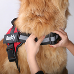 Load image into Gallery viewer, Personalised No-Pull Dog Harness