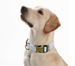 Load image into Gallery viewer, Personalised Dog Collar with Laser Engraved Buckle - The Pastel Collection