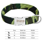 Load image into Gallery viewer, Personalised Dog Collar with Laser Engraved Buckle - The Classic Collection