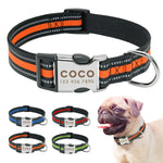 Load image into Gallery viewer, Personalised Dog Collar with Laser Engraved Buckle - The Reflective Collection