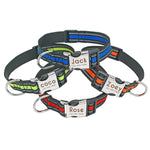 Load image into Gallery viewer, Personalised Dog Collar with Laser Engraved Buckle - The Reflective Collection
