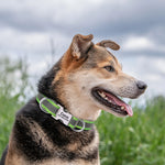 Load image into Gallery viewer, Personalised Dog Collar with Laser Engraved Buckle - The Reflective Collection
