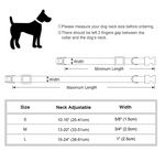 Load image into Gallery viewer, Personalised Dog Collar with Laser Engraved Buckle - The Reflective Collection
