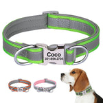 Load image into Gallery viewer, Personalised Dog Collar with Laser Engraved Buckle - The Reflective Collection
