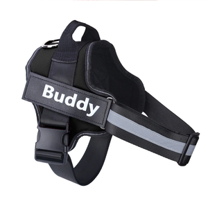 Personalised No-Pull Dog Harness