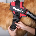 Load image into Gallery viewer, Personalised No-Pull Dog Harness

