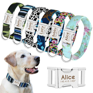 Personalised Dog Collar with Laser Engraved Buckle - The Classic Collection