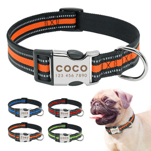Personalised Dog Collar with Laser Engraved Buckle - The Reflective Collection